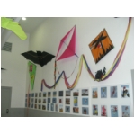 Staffolo 2009