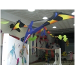 Staffolo 2009