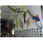 Staffolo 2009