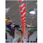 Staffolo 2009