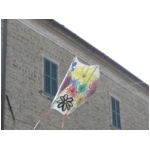 Staffolo 2009