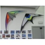 Staffolo 2009
