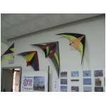 Staffolo 2009