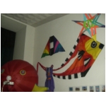 Staffolo 2009