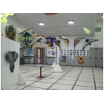 Staffolo 2009