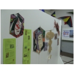 Staffolo 2009
