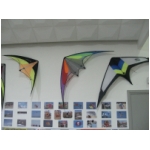 Staffolo 2009