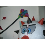 Staffolo 2009