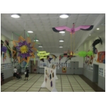 Staffolo 2009