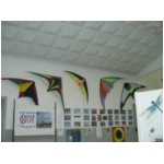 Staffolo 2009