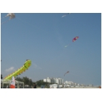 Senigallia 2009