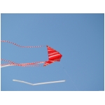 Senigallia 2009