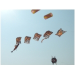 Senigallia 2009