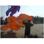 Senigallia 2009