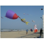 Senigallia 2009