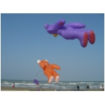 Senigallia 2009