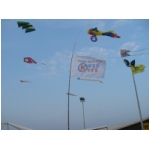 Senigallia 2009
