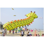 Senigallia 2009