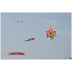 Senigallia 2009