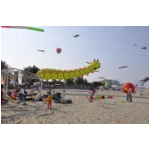 Senigallia 2009