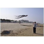 Senigallia 2009