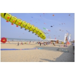Senigallia 2009