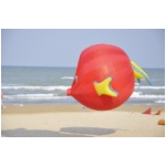 Senigallia 2009