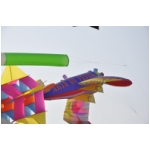 Senigallia 2009