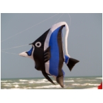Senigallia 2009