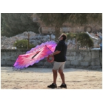 Senigallia 2009