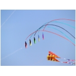 Senigallia 2009