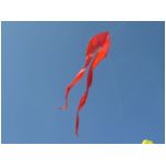 Senigallia 2006
