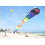 Senigallia 2006