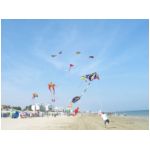 Senigallia 2006