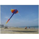 Senigallia 2006