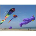 Senigallia 2006