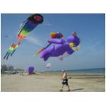 Senigallia 2006