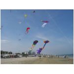 Senigallia 2006