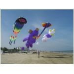Senigallia 2006