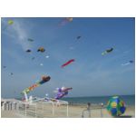Senigallia 2006
