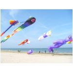 Senigallia 2006