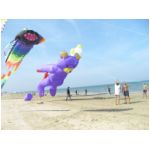 Senigallia 2006