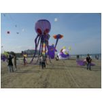 Senigallia 2006