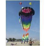 Senigallia 2006