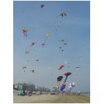Senigallia 2006