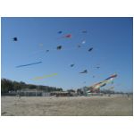 Senigallia 2007