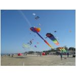 Senigallia 2007