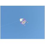 Senigallia 2007