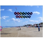 Senigallia 2008