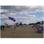 Senigallia 2008